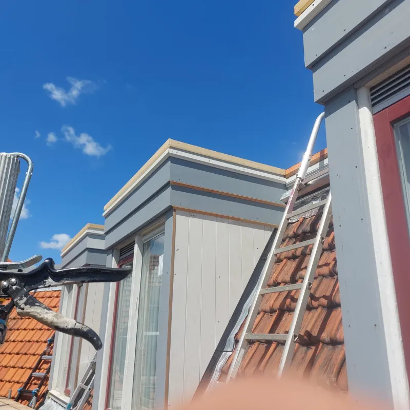 Geplaatste dakkapellen op een pannendak